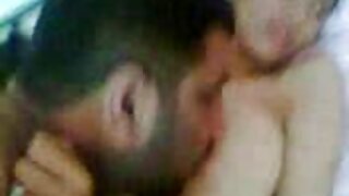ببل بٹ سنہرے بالوں و ...